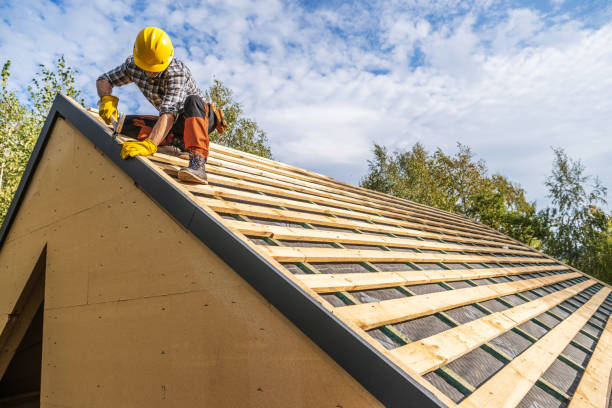 Best Roof Gutter Cleaning  in Jamestown, ND
